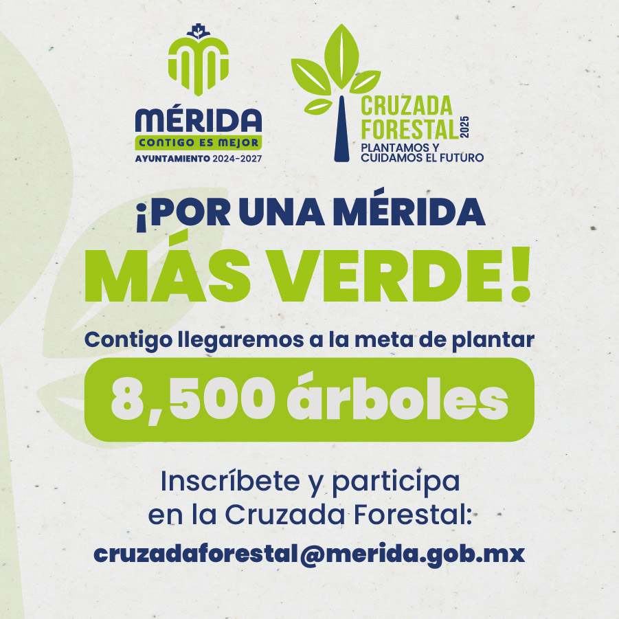 desarrollo web