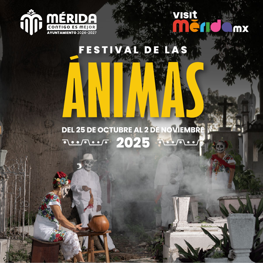 desarrollo web